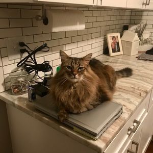 Meet your Posher, Luke